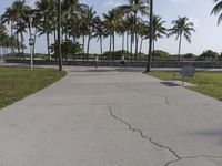 Miami Beach Road with Palm Trees - Residential