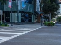 a crosswalk with trees and buildings in the background at night time in downtown los