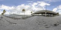 a fisheye photo showing a concrete surface and palm trees surrounding it to the left with an oval view of city in distance