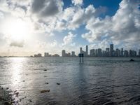 Miami Beach Skyline: Skyscrapers on a Sunny Day