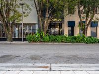 the corner of an intersection with trees on both sides and buildings in the background, with no one on