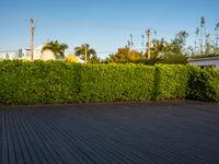 the view of a city in the sun with some palm trees next to the boardwalk