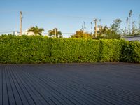 the view of a city in the sun with some palm trees next to the boardwalk