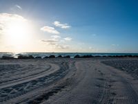 there is a large amount of footprints in the sand on the beach at sunset, and the sun shining behind the beach