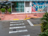 cross walk and street art painted on a building behind the curb in the area in front of a green potted palm tree