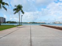 the sidewalk at a park next to a body of water and palm trees near a waterfront