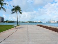 the sidewalk at a park next to a body of water and palm trees near a waterfront