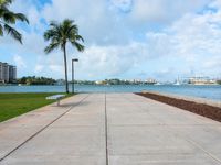 the sidewalk at a park next to a body of water and palm trees near a waterfront