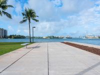 the sidewalk at a park next to a body of water and palm trees near a waterfront