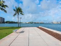 the sidewalk at a park next to a body of water and palm trees near a waterfront