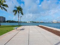 the sidewalk at a park next to a body of water and palm trees near a waterfront