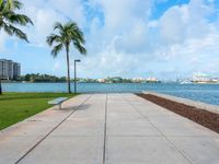 the sidewalk at a park next to a body of water and palm trees near a waterfront