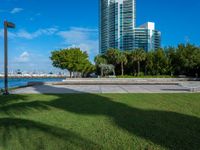 view to the city from a park with benches and green grass along shore in miami