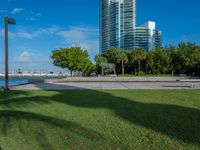 view to the city from a park with benches and green grass along shore in miami