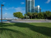 view to the city from a park with benches and green grass along shore in miami