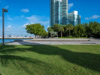 view to the city from a park with benches and green grass along shore in miami