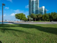 view to the city from a park with benches and green grass along shore in miami