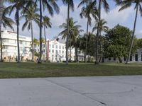 a person jumping to catch a frisbee outside of a building near palm trees