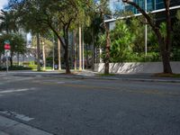 a fire hydrant sits on the street in an empty area near tall buildings and trees