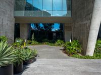 an architectural walkway and courtyard in a concrete building with potted plants on each side