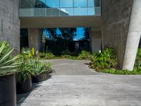 an architectural walkway and courtyard in a concrete building with potted plants on each side