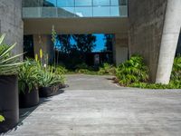 an architectural walkway and courtyard in a concrete building with potted plants on each side