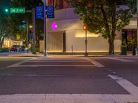 Crosswalks in the City of Miami: Illuminated by Artificial Light