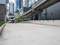 an empty sidewalk surrounded by tall buildings and trees on either side of a sidewalk under the freeway