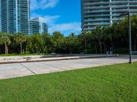 a city park with a fountain and grassy area in the background and trees, grass, shrubs, a park bench, and tall buildings in the middle ground, and blue sky