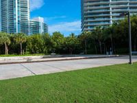 a city park with a fountain and grassy area in the background and trees, grass, shrubs, a park bench, and tall buildings in the middle ground, and blue sky