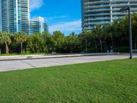 a city park with a fountain and grassy area in the background and trees, grass, shrubs, a park bench, and tall buildings in the middle ground, and blue sky