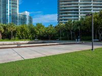 a city park with a fountain and grassy area in the background and trees, grass, shrubs, a park bench, and tall buildings in the middle ground, and blue sky