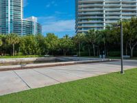 a city park with a fountain and grassy area in the background and trees, grass, shrubs, a park bench, and tall buildings in the middle ground, and blue sky