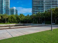 a city park with a fountain and grassy area in the background and trees, grass, shrubs, a park bench, and tall buildings in the middle ground, and blue sky