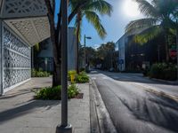 empty city street in tropical paradise setting with palm trees in foreground and large white lattice screen