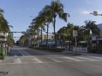 a city street with palm trees and buildings on both sides of the road, a red light that is on a pedestrian light pole