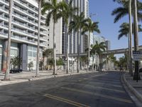 a view of a street next to several tall buildings and palm trees lined in the foreground