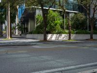 a city street with tall buildings near palm trees and other plants on both sides of the street