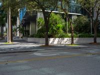 a city street with tall buildings near palm trees and other plants on both sides of the street