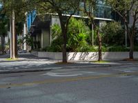 a city street with tall buildings near palm trees and other plants on both sides of the street