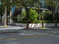 a city street with tall buildings near palm trees and other plants on both sides of the street