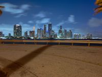 a view of the miami skyline from the beach area at night on the west side of the bay