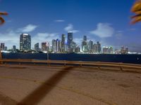 a view of the miami skyline from the beach area at night on the west side of the bay