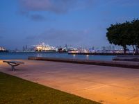 a bench overlooking a bay and a city skyline at night with a bright blue sky in the background