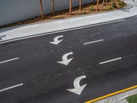 two arrows painted on a road in the middle of nowhere near palm trees and a building