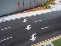 two arrows painted on a road in the middle of nowhere near palm trees and a building