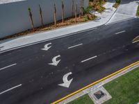 two arrows painted on a road in the middle of nowhere near palm trees and a building