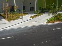 a man riding a skateboard down the side of a street near palm trees and shrubs