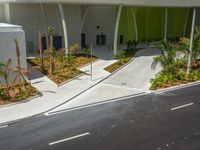 a man riding a skateboard down the side of a street near palm trees and shrubs