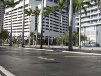 the street in a city is lined with tall buildings and palm trees, and yellow lines painted on the road